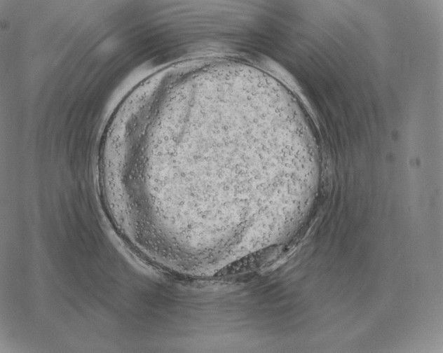 X0000069380811200606091649