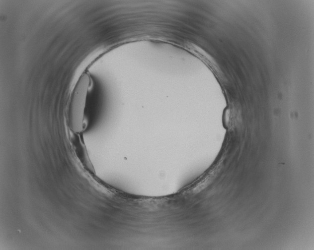 X0000069380812200606091649