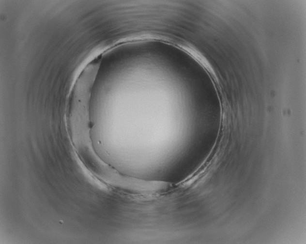 X0000069380813200606091649