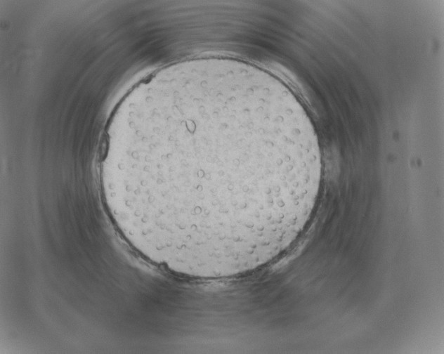 X0000069380814200606091649