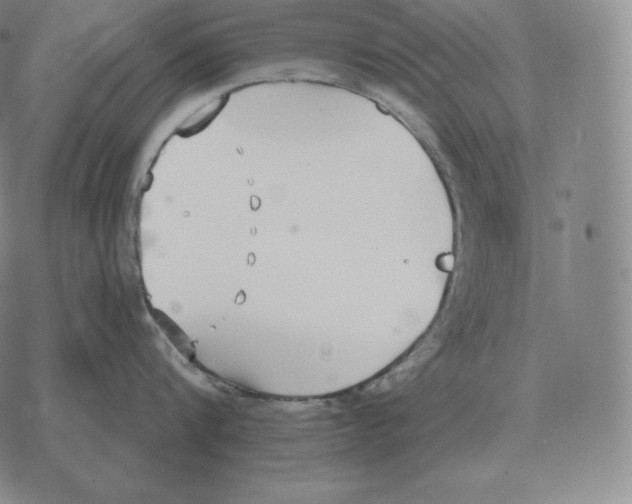 X0000069380816200606091649