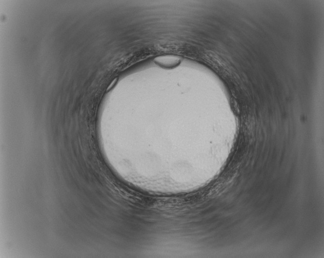 X0000069380817200606091648