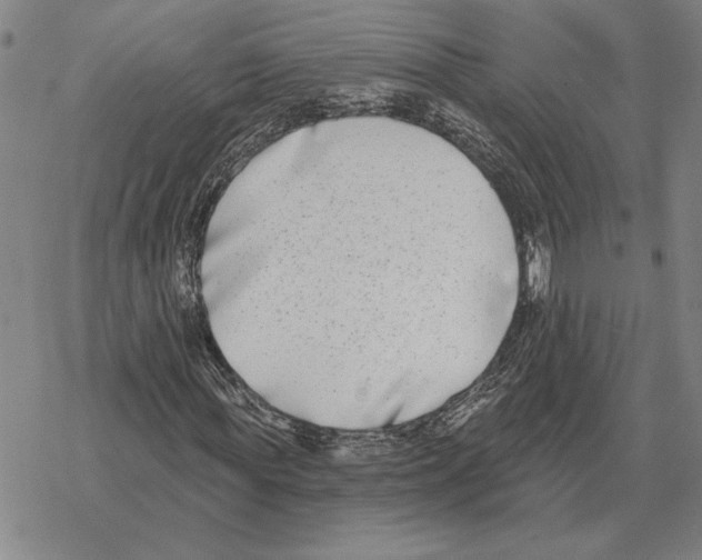 X0000069380819200606091648