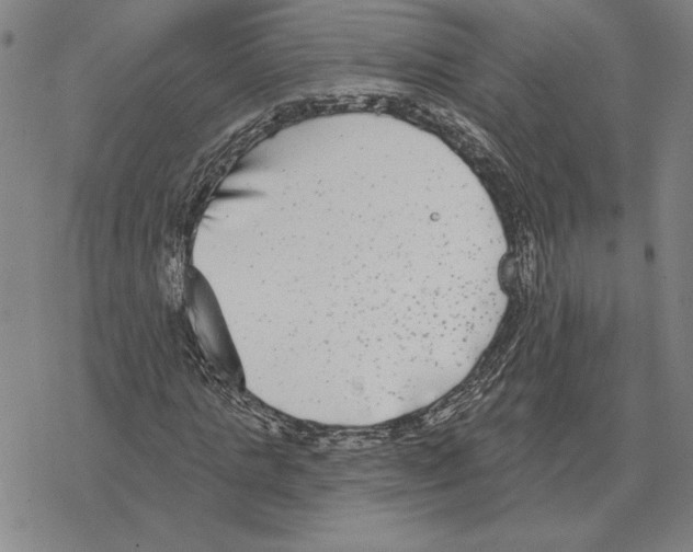 X0000069380821200606091649