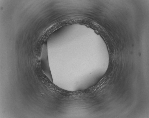 X0000069380822200606091649