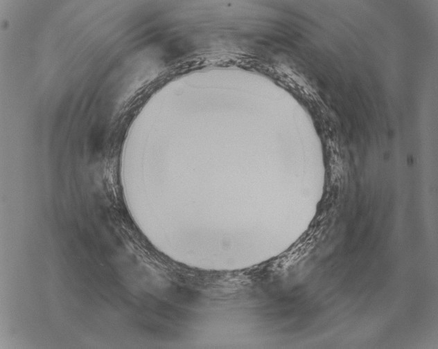 X0000069380824200606091649