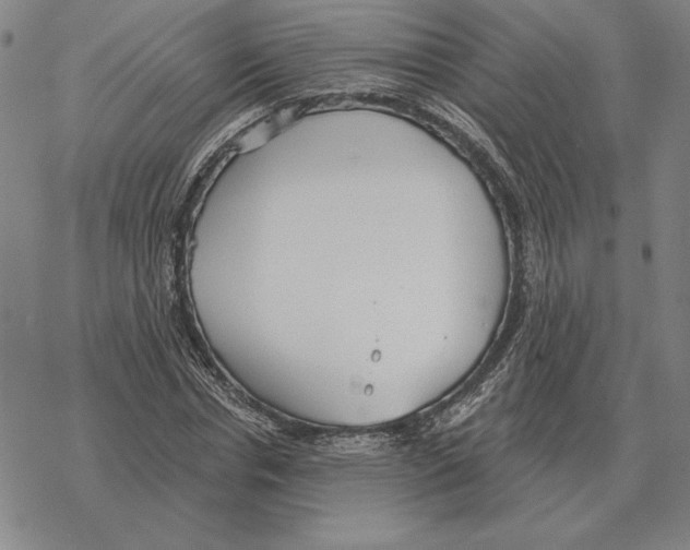 X0000069380826200606091649