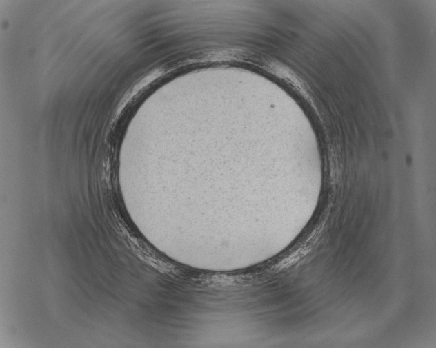 X0000069380827200606091649