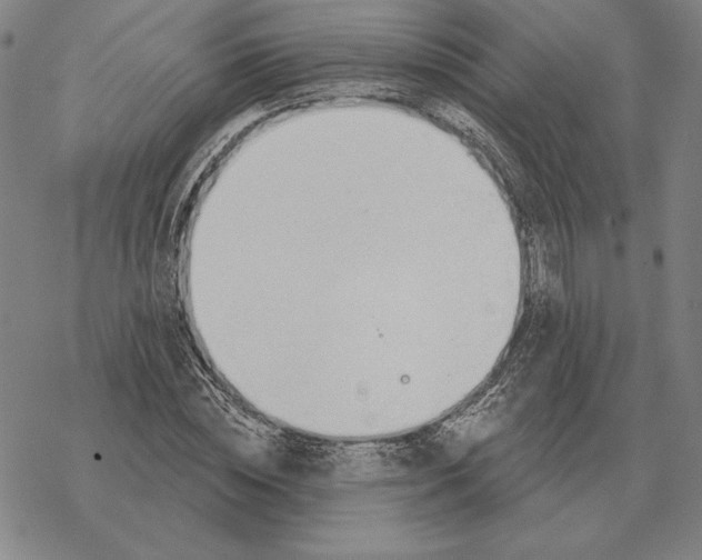 X0000069380828200606091649