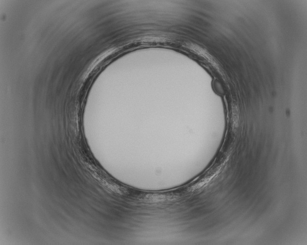 X0000069380829200606091649