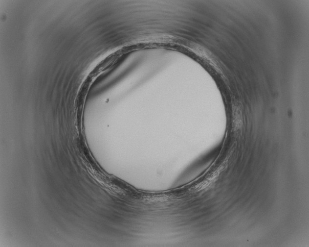 X0000069380830200606091649