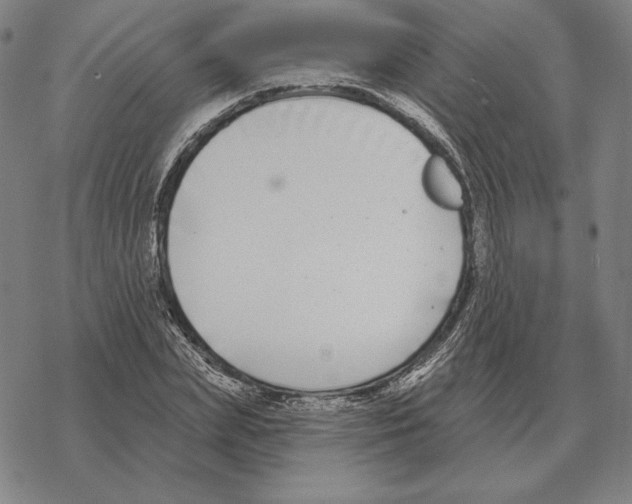 X0000069380831200606091649