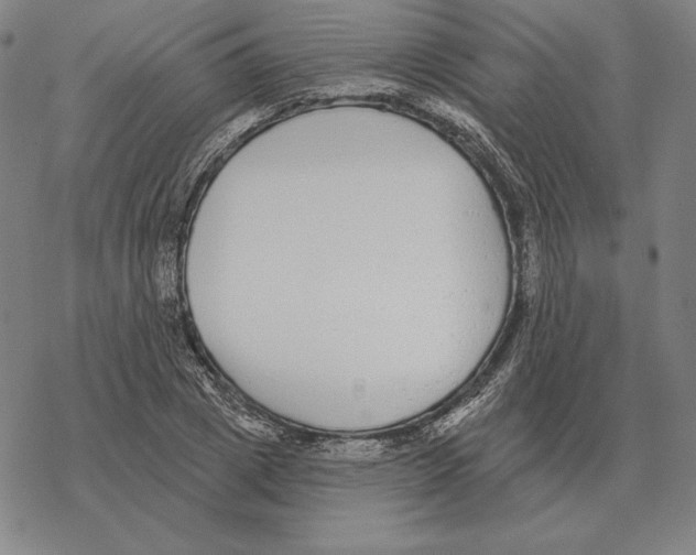 X0000069380833200606091649