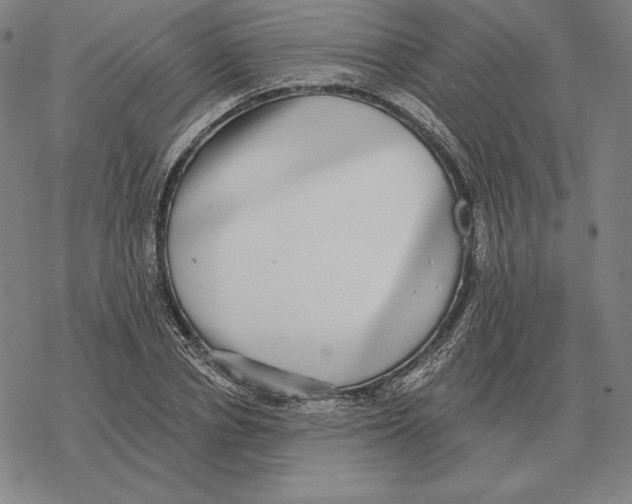 X0000069380834200606091649