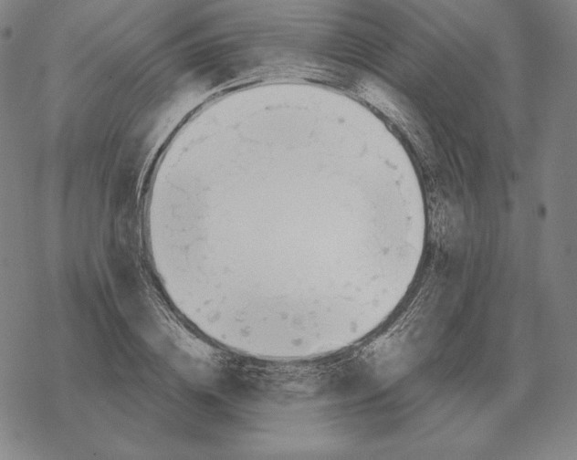 X0000069380836200606091649