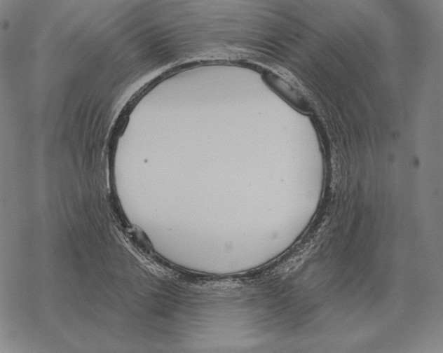 X0000069380838200606091649