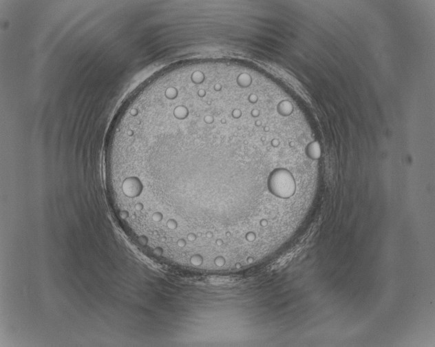 X0000069380839200606091649