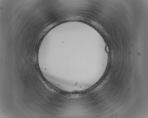 X0000069380841200606091649