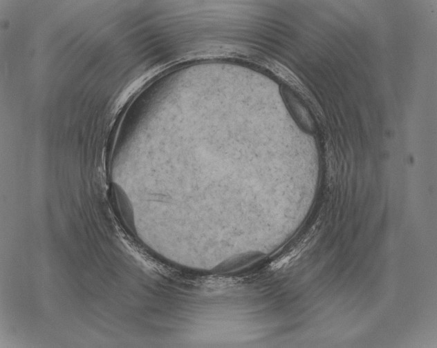 X0000069380842200606091649