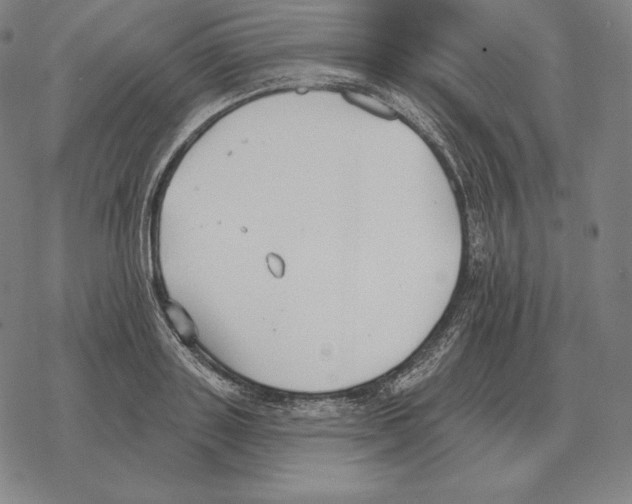 X0000069380843200606091649