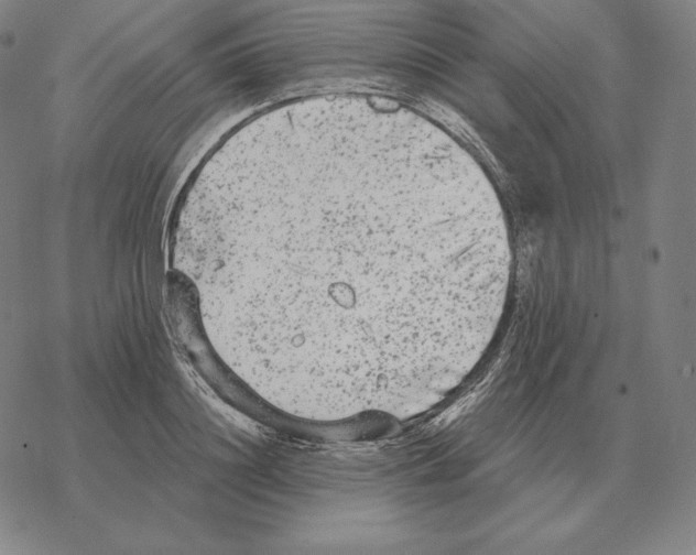 X0000069380844200606091649