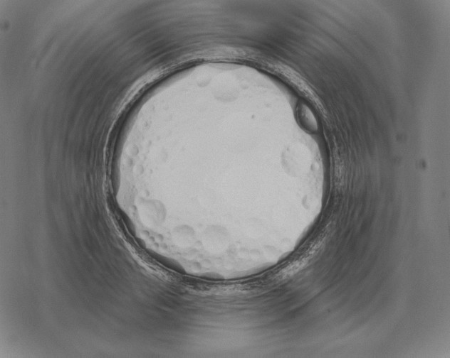 X0000069380845200606091649