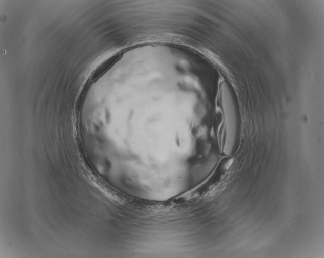 X0000069380846200606091649