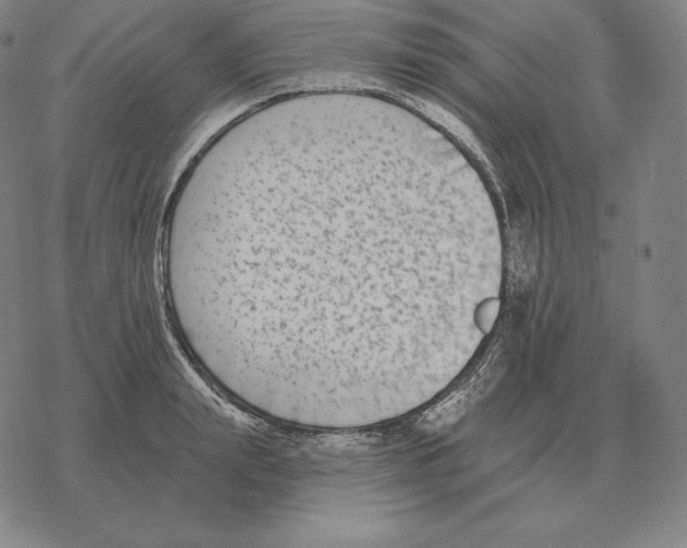 X0000069380847200606091649