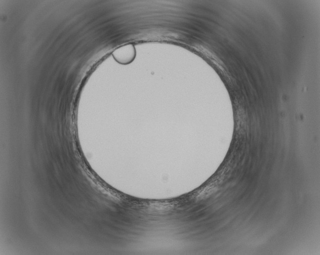 X0000069380848200606091649