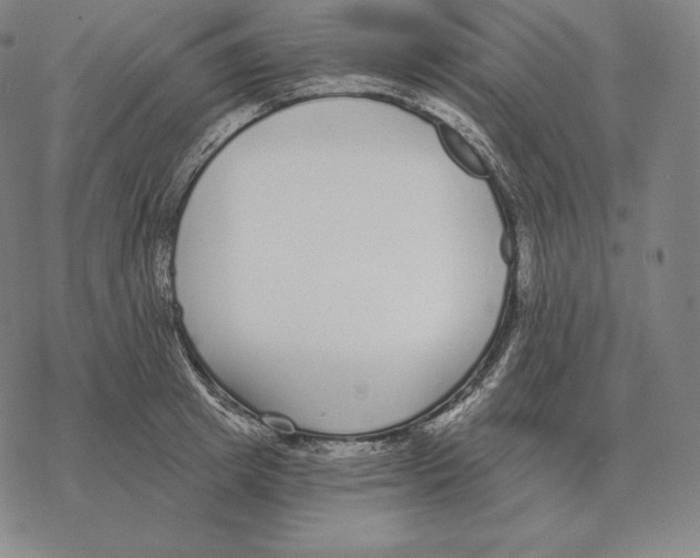 X0000069380849200606091649