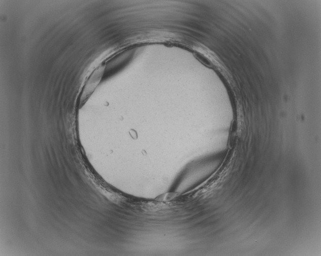 X0000069380850200606091649