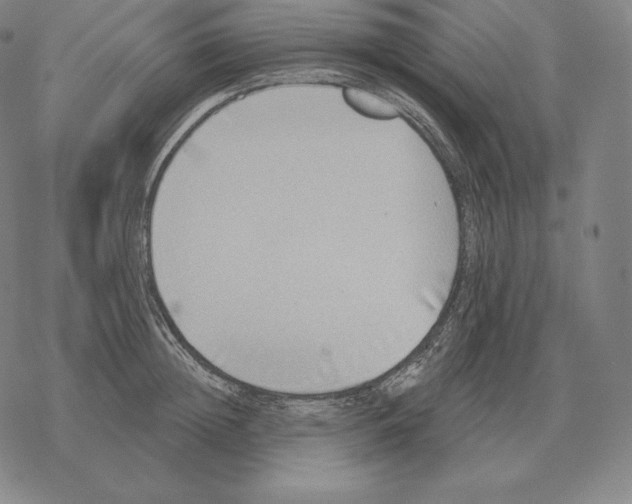 X0000069380852200606091649