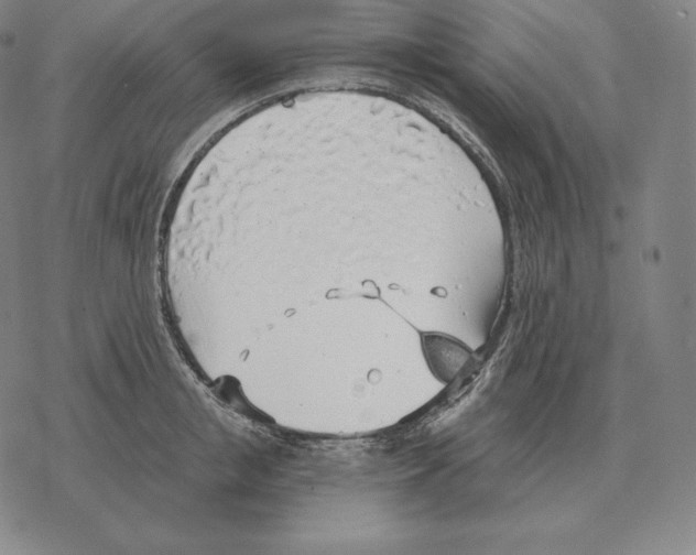 X0000069380853200606091649