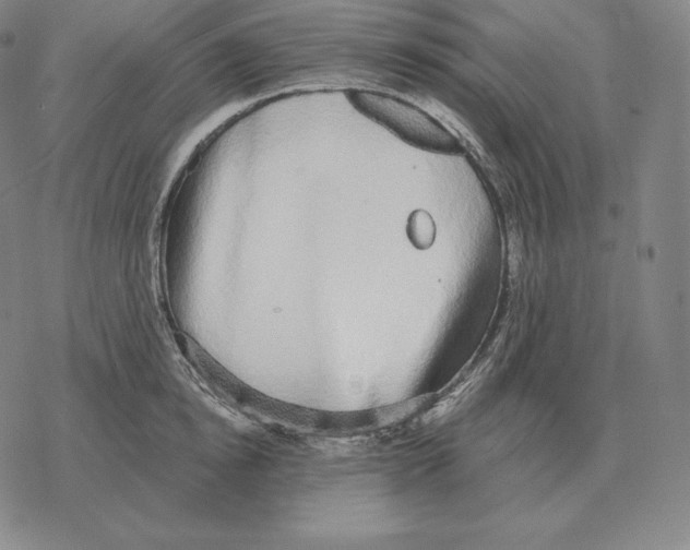 X0000069380854200606091649