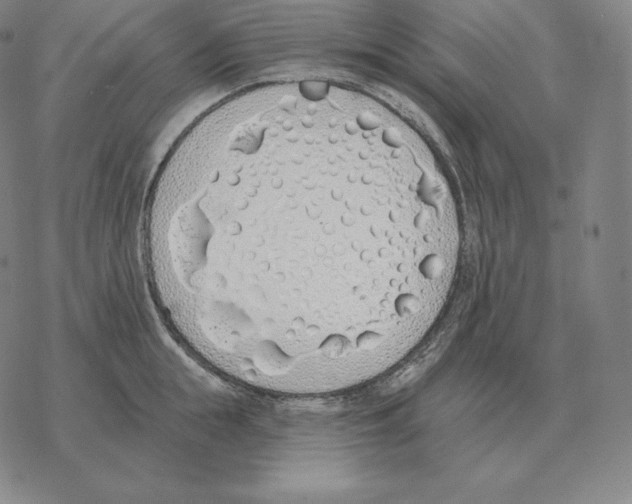 X0000069380855200606091649