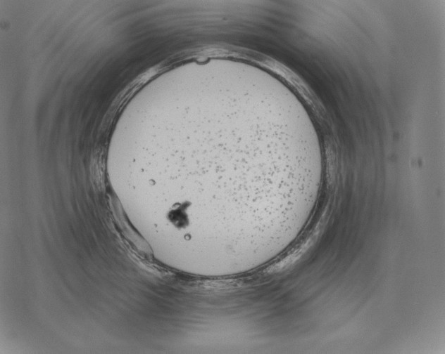 X0000069380857200606091649