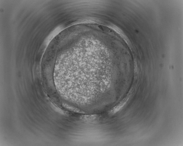 X0000069380858200606091649