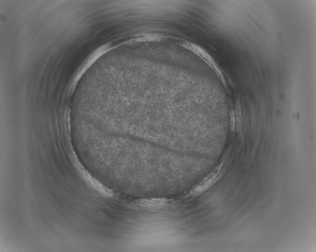 X0000069380859200606091649