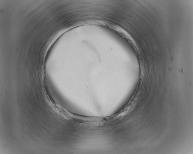 X0000069380860200606091649