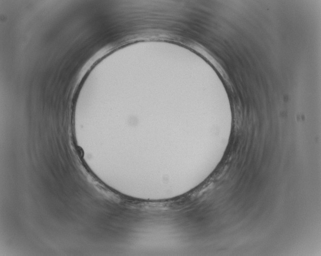 X0000069380861200606091649