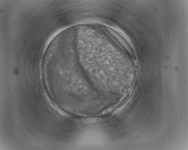 X0000069380862200606091649