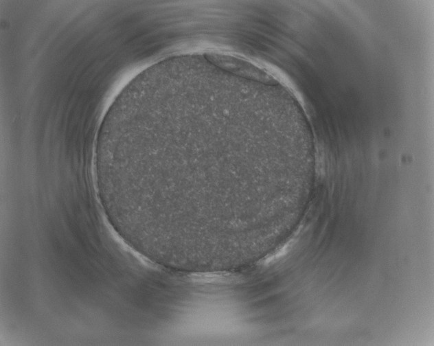 X0000069380863200606091649