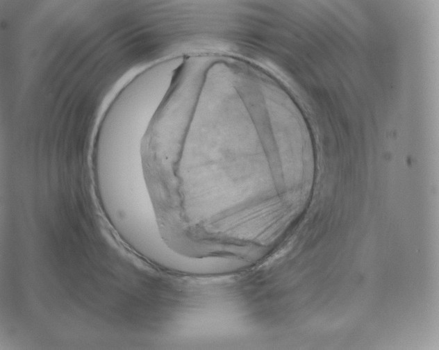 X0000069380864200606091649