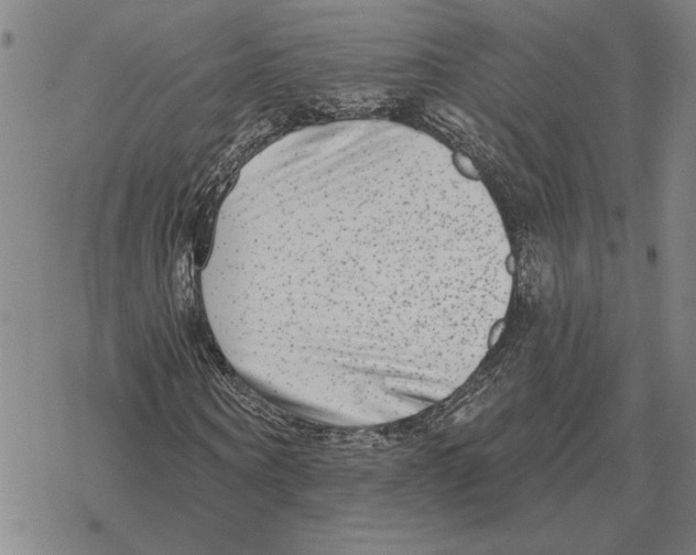 X0000069380866200606091648