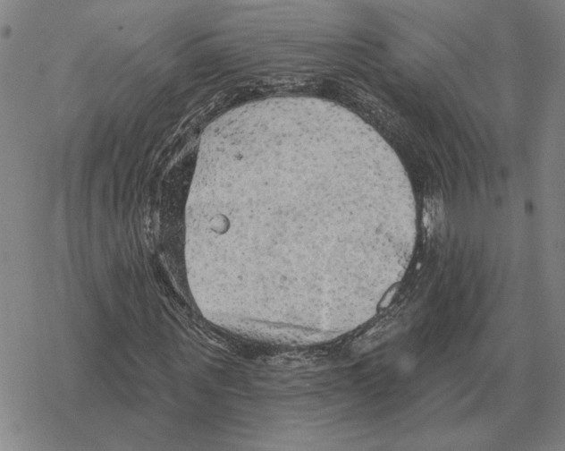 X0000069380867200606091648