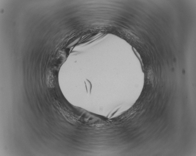 X0000069380868200606091648