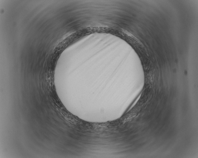 X0000069380870200606091648