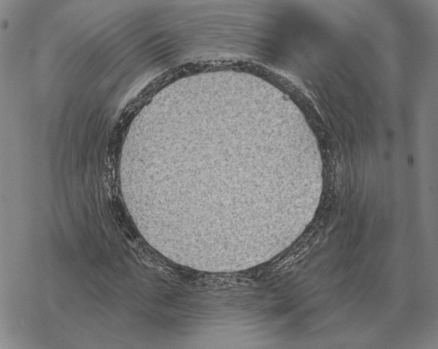 X0000069380871200606091648