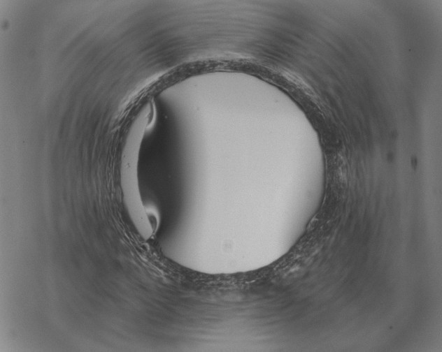 X0000069380872200606091648