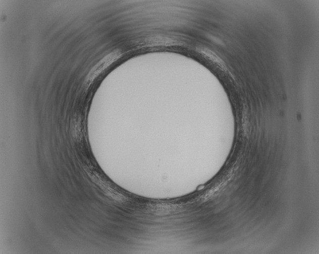 X0000069380873200606091648